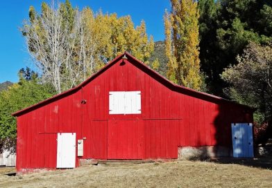 As dicas do Pedro Agricultor para Novembro