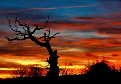 O que é o solstício de Inverno?