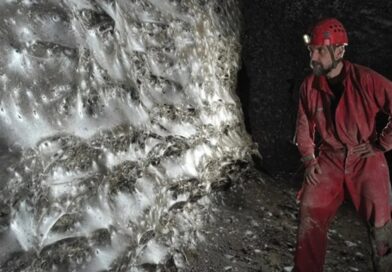 Quando 111 mil aranhas tecem em conjunto…